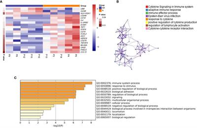 Over-Expression of GUSB Leads to Primary Resistance of Anti-PD1 Therapy in Hepatocellular Carcinoma